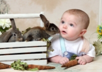 baby bunnies mini sessions