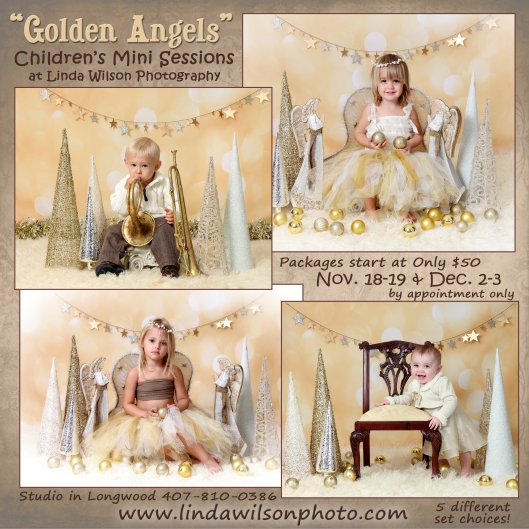 Golden Angels Christmas holiday Mini photo Sessions