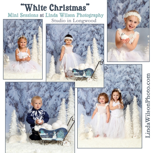White Christmas holiday Mini Sessions at Linda Wilson Photography.