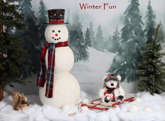 Winter Fun Christmas holiday Mini photo Sessions at Linda Wilson Photography.